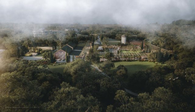 Render of Woods Bagot's masterplan for Burnham Beeches.